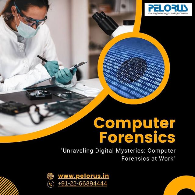Computer Forensics Picture Box