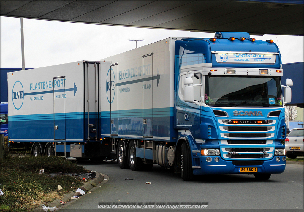 vanda (8)-BorderMaker - 