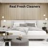 Real Fresh Cleaners - Picture Box
