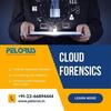Cloud Forensics Mobile Unlo... - Picture Box