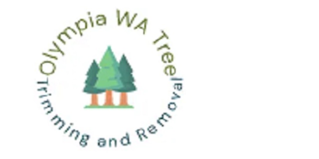 300 Olympia WA Tree Trimming and Removal