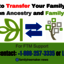 How to Transfer Your Family... - Family Tree Maker - FTM News