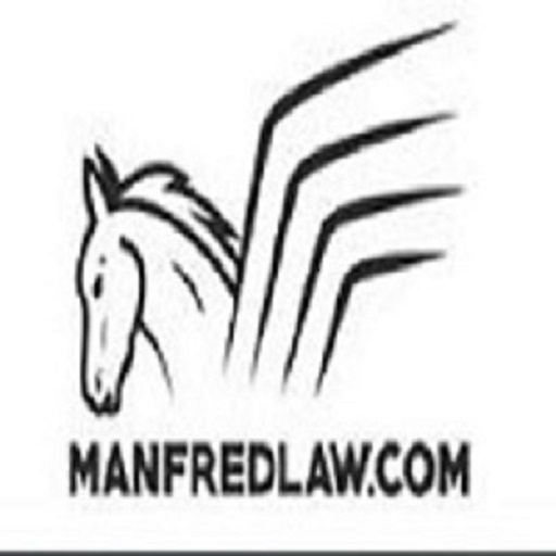 Capture Manfred Sternberg & Associates