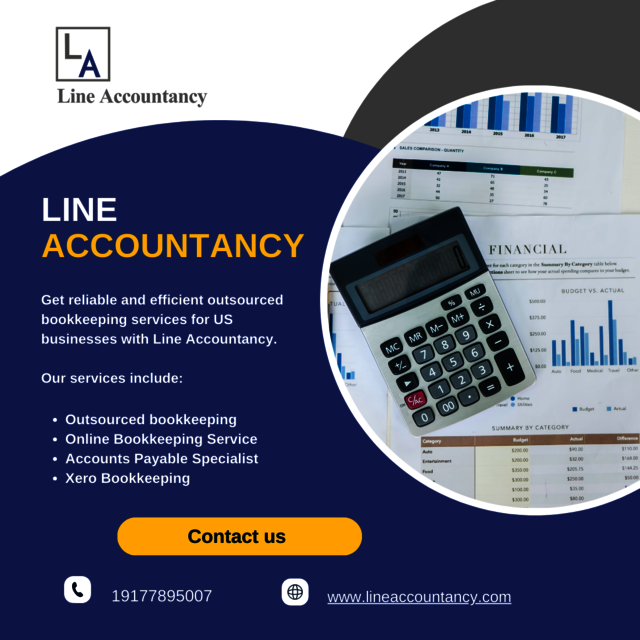 Line Accountancy Picture Box