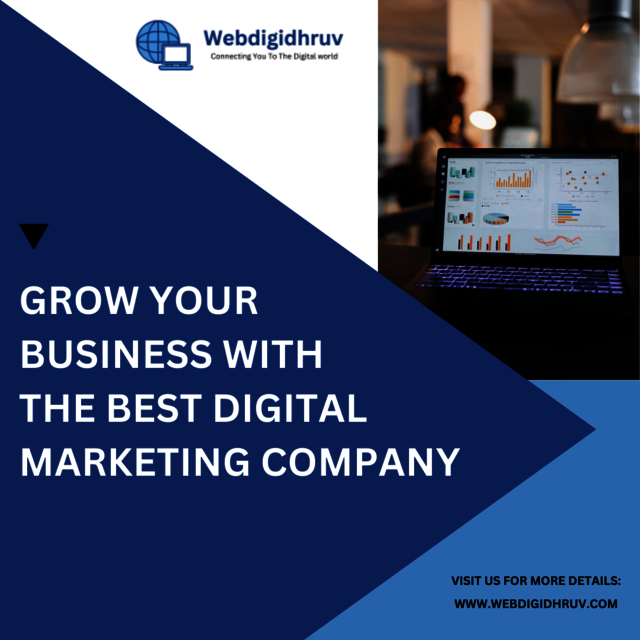 Unlock Online Potential with WebDigidhruv: Digital Picture Box