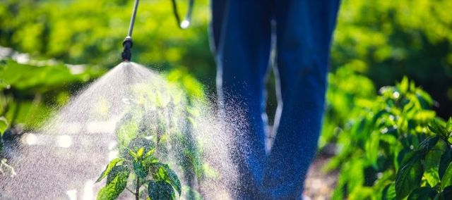 natural pest control austin Campbell Natural Pest Control