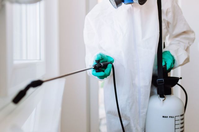 tigard pest control Campbell Natural Pest Control