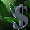 Hemp Industry Advisor - The Canna CPA