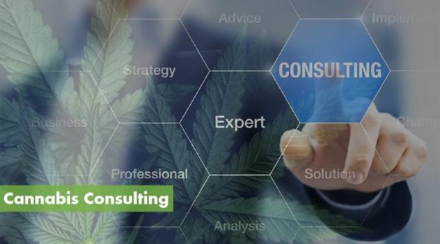 Cannabis Business Consulting The Canna CPA