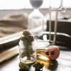 Cannabis Education - Arizona's Cannabis Industry...