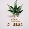 Cannabis Business Community - Arizona's Cannabis Industry...