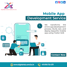 digitalraiz Picture Box