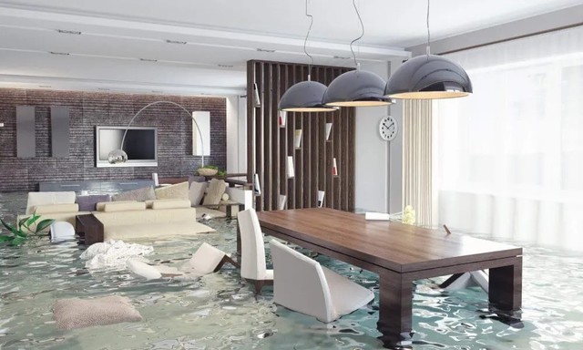 Expert Water Damage Restoration in Denver, CO rincoinc.com