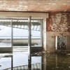 Water Damage Solutions in A... - rincoinc