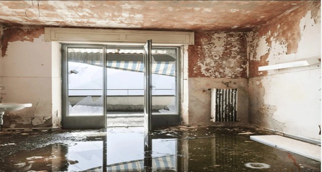 Water Damage Solutions in Arvada, CO rincoinc.com