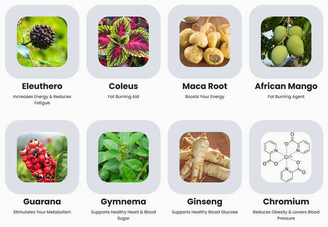 35225252 web1 M2-REN-20240119-Sugar-Defender-Ingre Picture Box