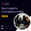 Seo Experts Company India - Picture Box