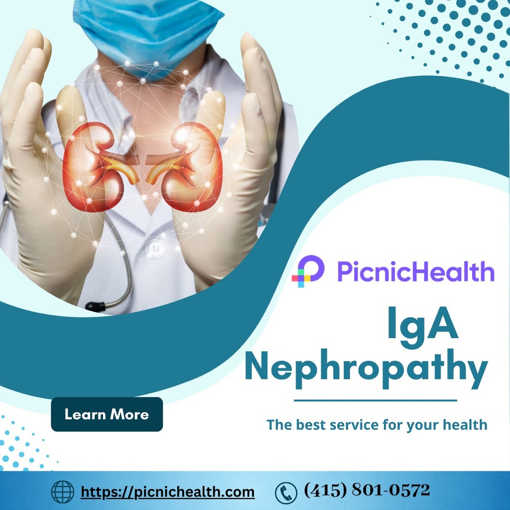 Iga Nephropathy 2 Picture Box