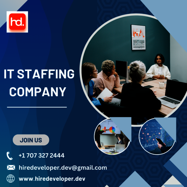 IT Staffing Picture Box