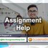 Assignment Help - Assignment Help