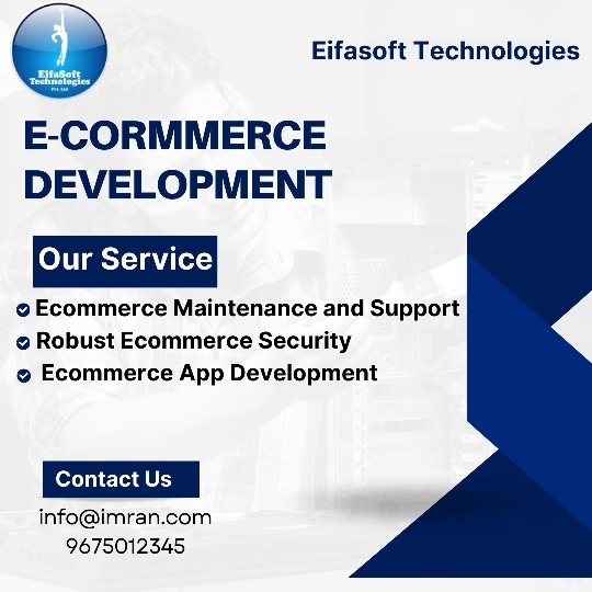 E COMMERCE DEVELOPMENT Picture Box