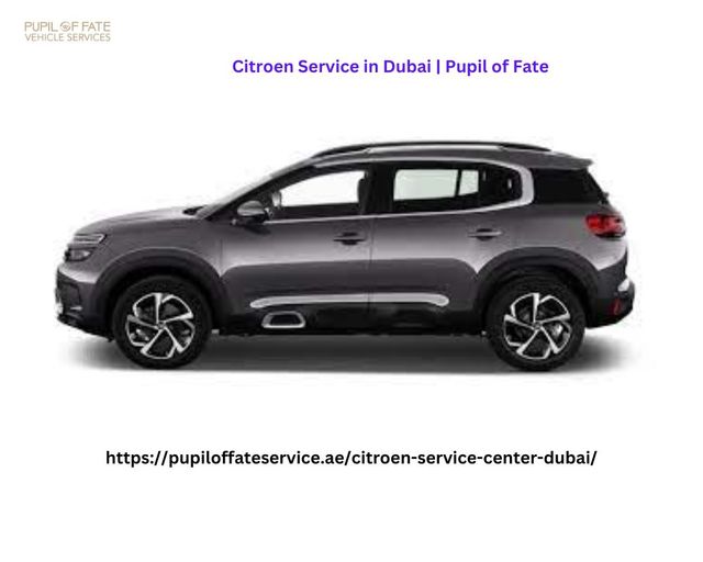 Citroen Service in Dubai  Pupil of Fate Picture Box