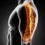 Expert Disc Injury Chiropra... - cameronchiro.com