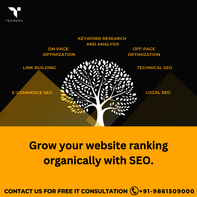 The Best SEO Company In Ambala Picture Box