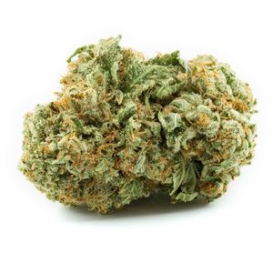 Jungle Diamonds Cannagraph