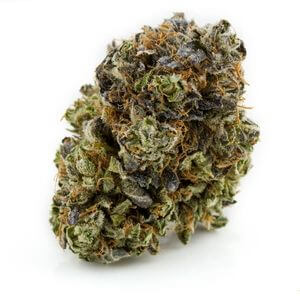 Pink Kush Cannagraph