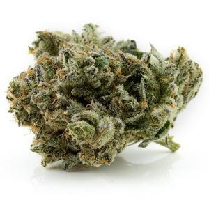 Platinum Blackberry Cannagraph