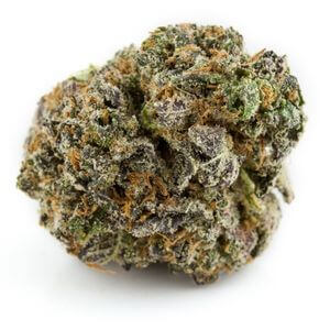 Purple Gas Cannagraph