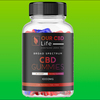 How Our CBD Life Gummies Is A Solid Supplement For Your Wellbeing?