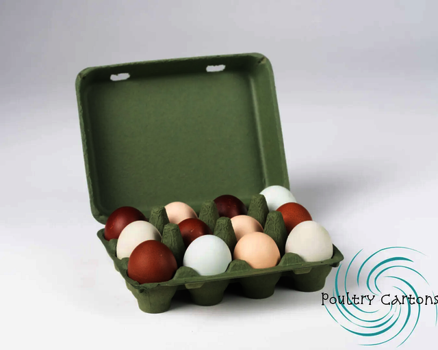 174280426.408c67b6 Picture Box