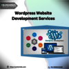 Wordpress Website Developme... - Picture Box