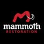 Logo - Mammoth Restoration | Kingman Branch