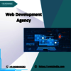 Web Development Agency - Picture Box