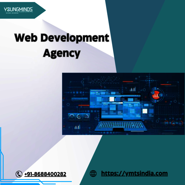 Web Development Agency Picture Box