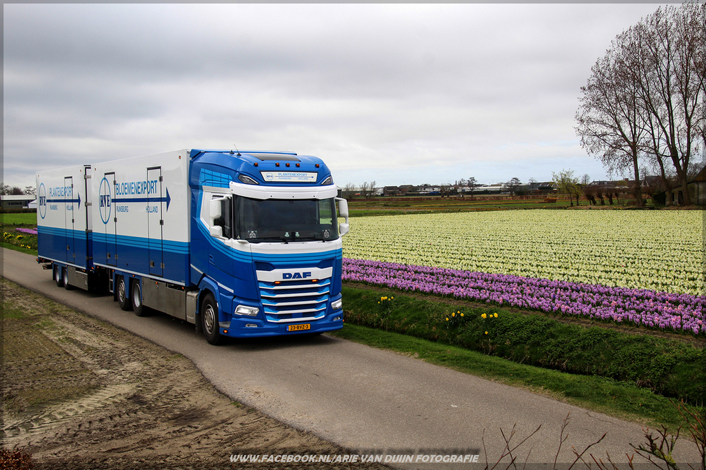 doee (17)-BorderMaker - 