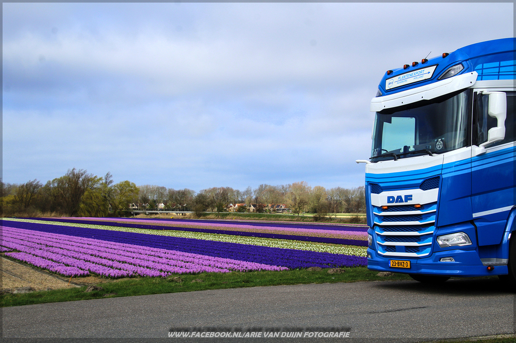 doee (24)-2-BorderMaker - 