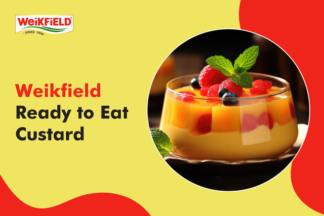 Weikfield-Ready-to-Eat-Custard Creamy Bliss: Weikfield Ready to Eat Custard Delight!