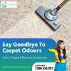 Carpet Cleaners Service in Brisbane