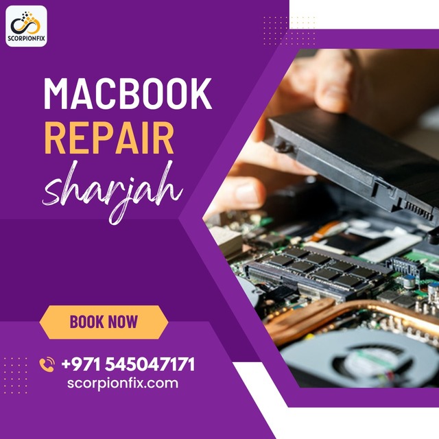 WhatsApp Image 2024-03-19 at 16.22.45 Picture Box