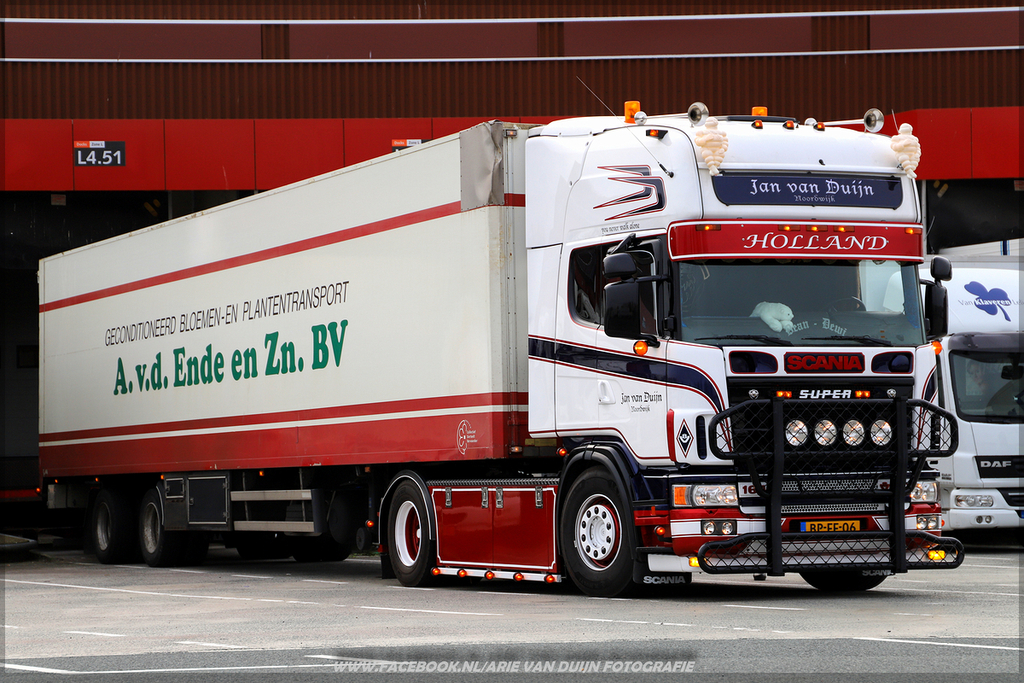 doea (6)-BorderMaker - 