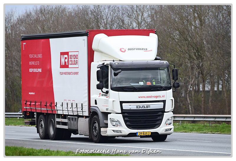 Oostvogels 39-BJF-3-BorderMaker - 