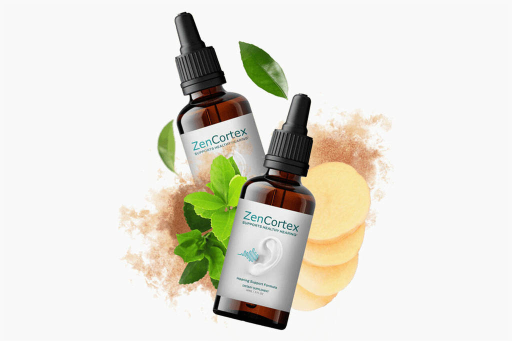 zen cortex How Does ZenCortex Works?