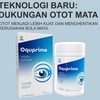 Oquprime Ulasan & Harga - Oquprime