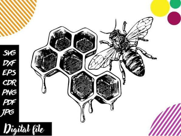 Bee With Honeycomb Svg, Honeycomb Svg Honeycomb Svg