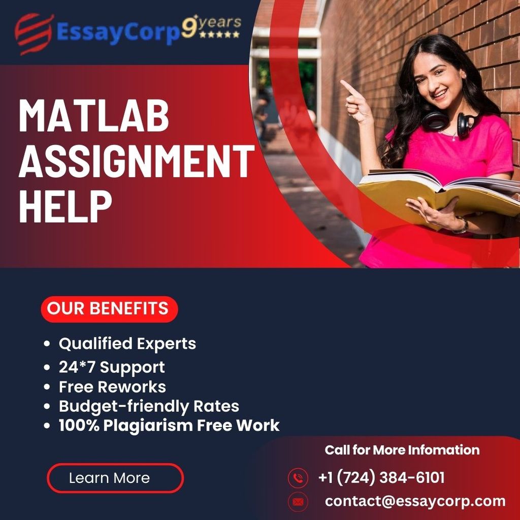 MATLAB Assignment Help vikas