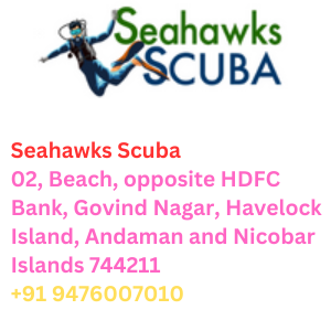 Seahawks Scuba Seahawks Scuba